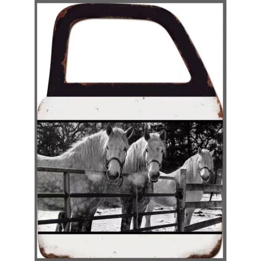 Horses With Mirror