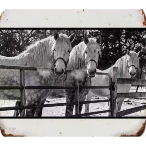 HORSES Sign Flat Tin Sign