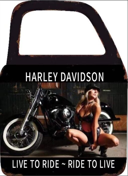 Harley Davidson 1 Door With Mirror